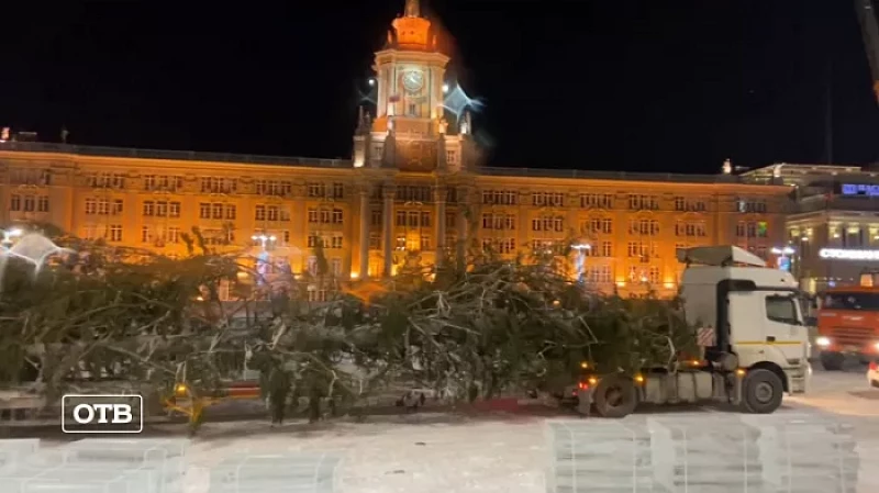 На площадь 1905 года в Екатеринбурге привезли живую 30-метровую ель