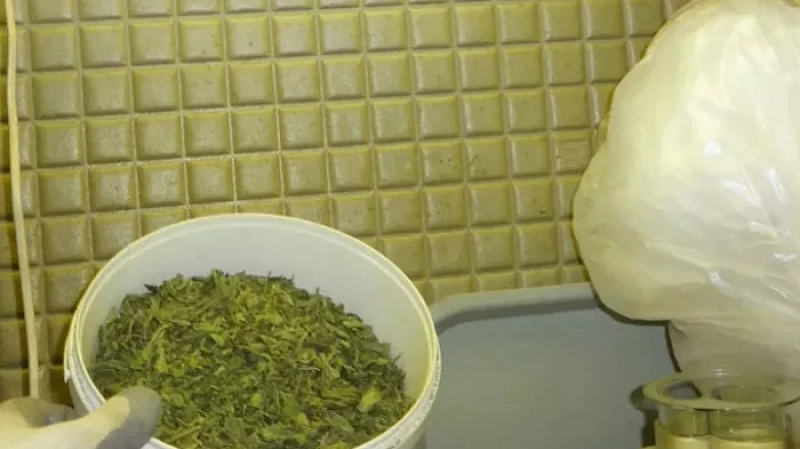 Наркопритон в квартире жилого дома обнаружили полицейские Кировграда