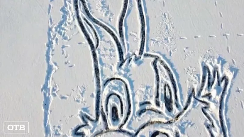 Художник с помощью совка и веника нарисовал на городском пруду 20-метрового кролика