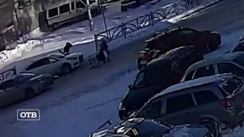 В Екатеринбурге нелегальный мигрант сбил коляску с младенцем на пешеходном переходе: СК организовал проверку
