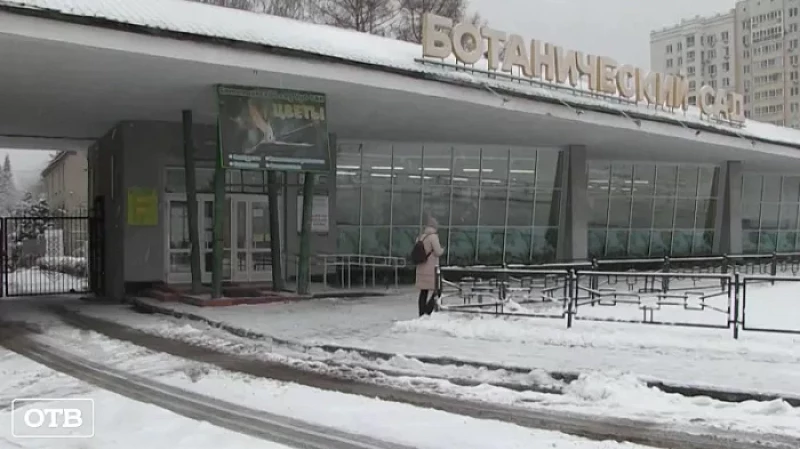 Аферисты развели лаборанта Уральского ботанического сада на 650 тысяч рублей