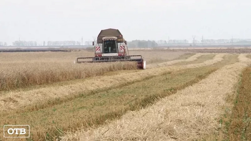 Свердловским аграриям, показавшим лучшие результаты, вручили новую технику