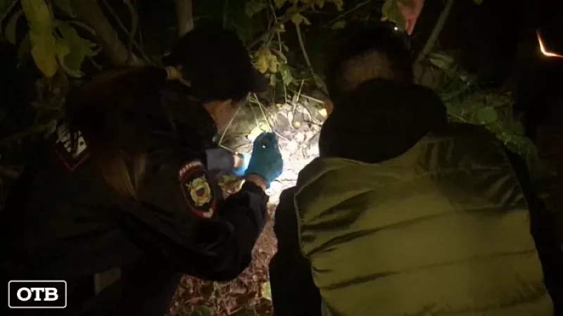 Незаконная теплица, которая тянет на внушительный срок, была обнаружена у безработного жителя Верхней Пышмы