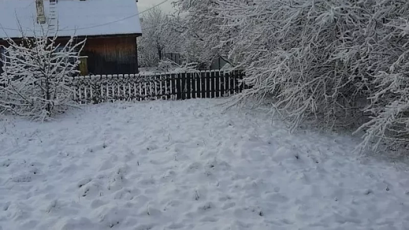 В Озёрном люди два дня сидят без света: снег налип на провода