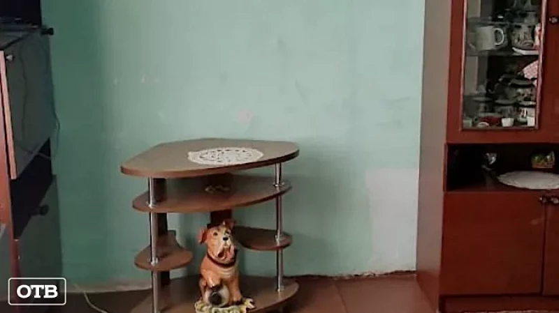 В Верхотурье парень украл телевизор у возлюбленной из-за старых обид