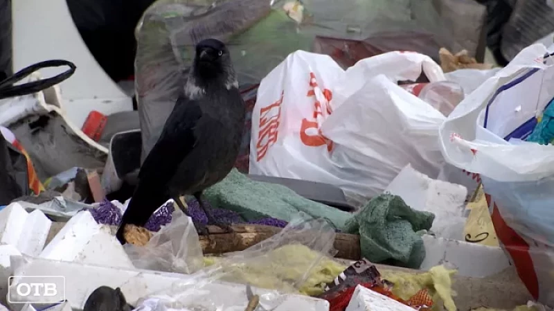 Тонут в мусоре: на Вторчермете неизвестные свозят отходы на стихийную свалку