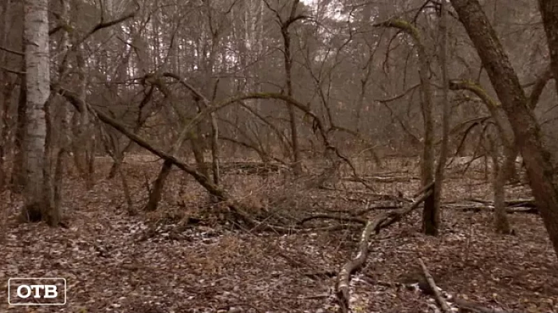В окрестностях екатеринбургского Мемориала жертвам политических репрессий обнаружили 49 массовых захоронений
