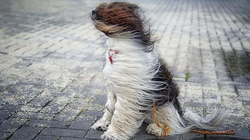 В Свердловской оласти 24 октября ожидается сильный ветер