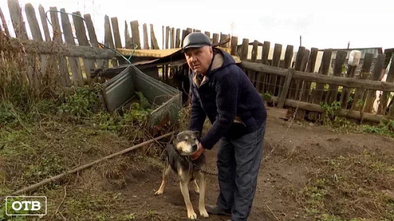 Стрелок по кошкам: в Михайловске мужчина держит в страхе целую улицу