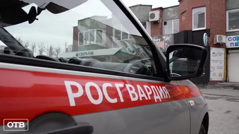 В Екатеринбурге мужчина похитил у прохожего телефон, угрожая натравить собаку, которую подобрал на улице