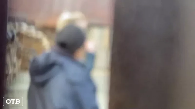 Жительница села Косулино терроризирует двор