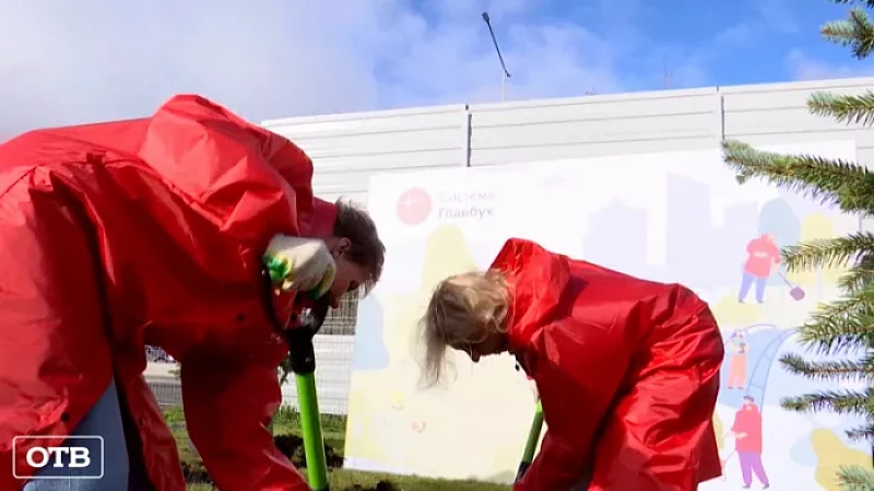 Первая в России бухгалтерская аллея появилась на Широкой речке