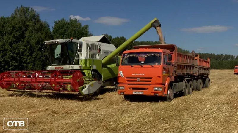 Уборочная кампания в Свердловской области идёт с перевыполнением плана