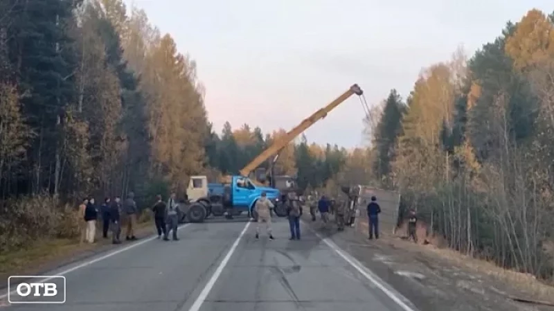 Под Новой Лялей грузовик с древесной щепой улетел в кювет