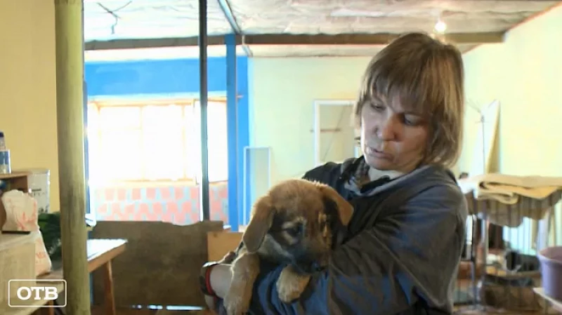 Из железной ловушки неравнодушные женщины спасли двух щенков