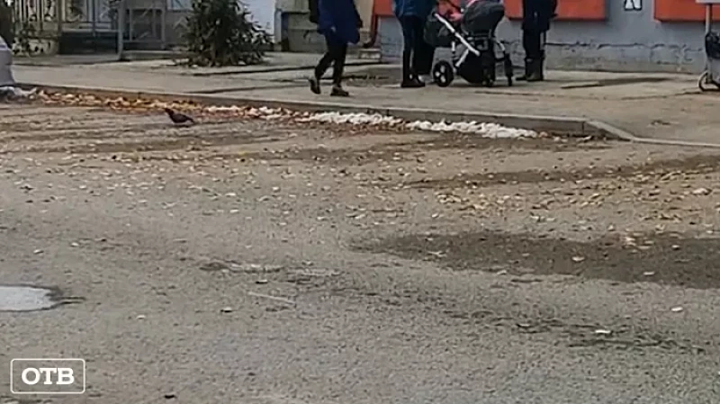 Второклассник до смерти напугал 47-летнюю автоледи, прыгнув под колёса паркетника