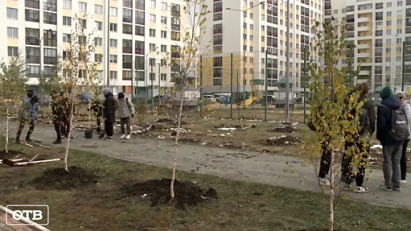 К 300-летию Екатеринбурга в Академическом высадят 3000 деревьев