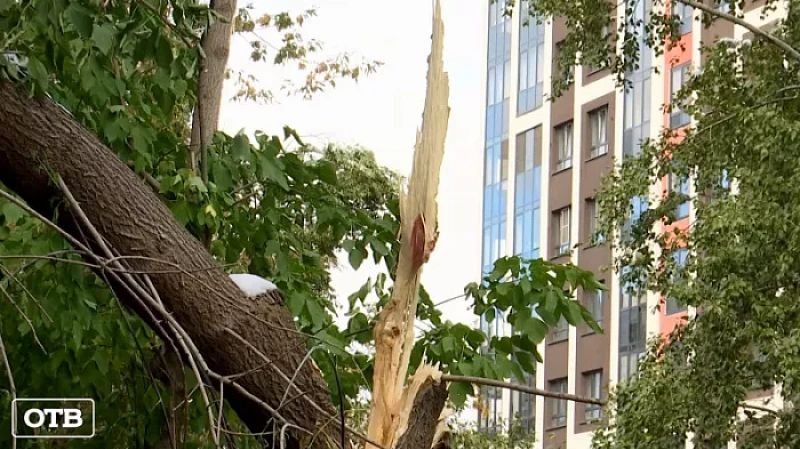 Жители дома на улице Советской возмущены бездействием коммунальщиков после снегопада