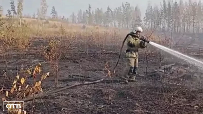 МЧС наращивает силы для тушения торфяного пожара у деревни Большое Седельниково
