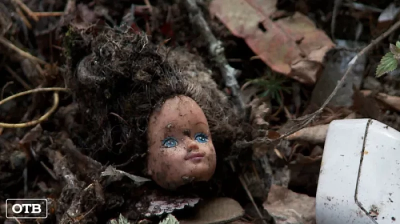 Пластиковое озеро: жители посёлка Уралец борются с несанкционированными свалками в лесу