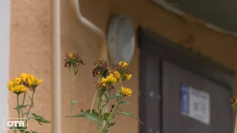 Передавать показания от всех квартир за электроэнергию и воду может один человек