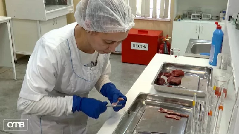 Вспышек опасных заболеваний животных в этом году на Среднем Урале не зафиксировано