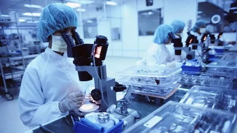 Грязь в Екатеринбурге: неожиданные находки учёных