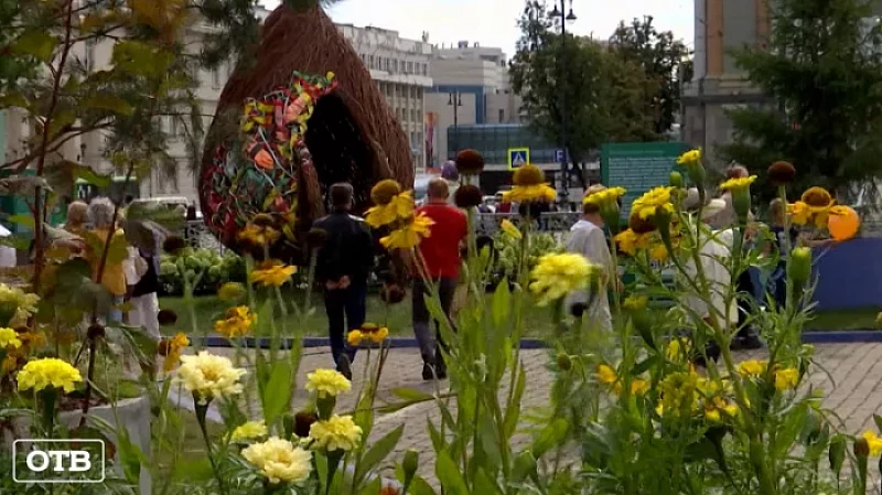 Выставочные сады «Атмофеста» переезжают в социальные учреждения