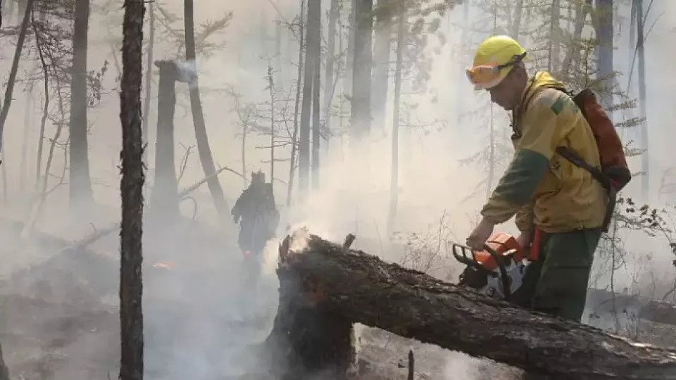 За прошедшие выходные в Свердловской области ликвидировано 16 лесных пожаров
