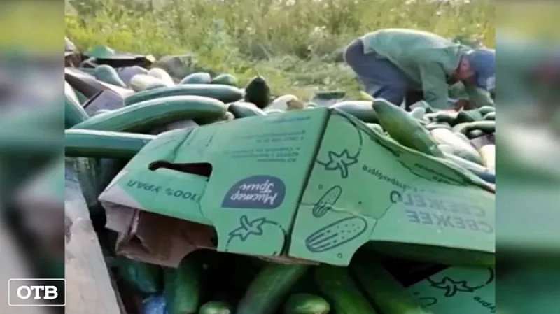 КамАЗ вывалил горы овощей на улице в посёлке Красногвардейский