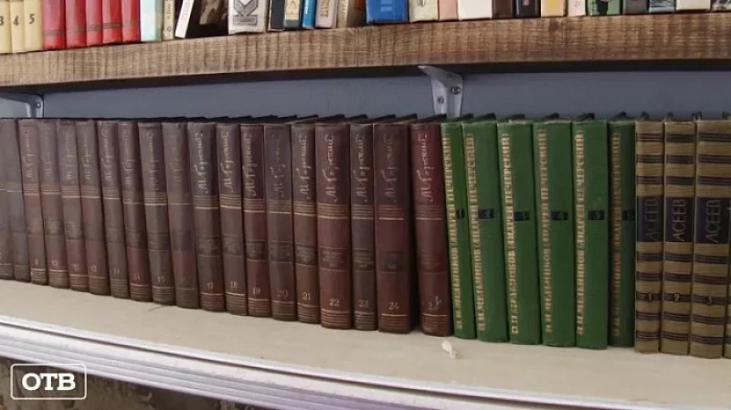 Жительница Екатеринбурга «приютила» в подвале дома сотни книг