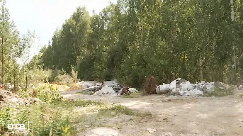 Жители посёлка Шабровский жалуются на стихийные свалки