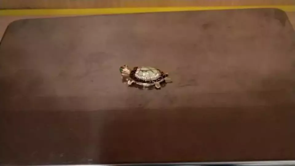 Пассажирка самолета привезла 10 золотых черепах из Стамбула в Екатеринбург