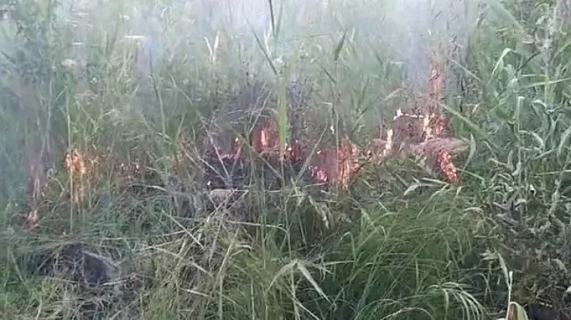 Под Берёзовским крупный лесной пожар