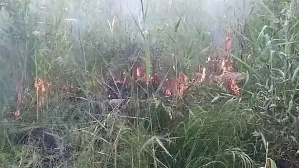 Под Берёзовским крупный лесной пожар