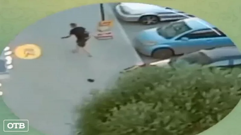 В Берёзовском дикий собачник ударил ногой в лицо беззащитную женщину