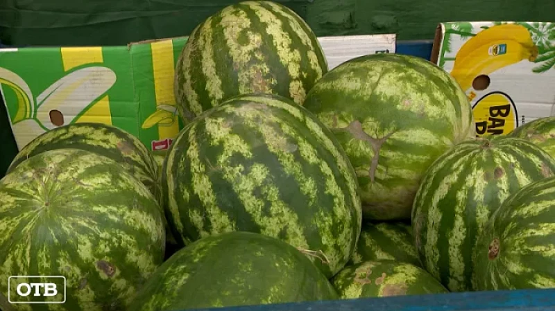 Уральские продавцы рассказали, как выбрать сочный и вкусный арбуз