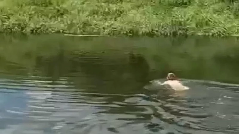 11-летний мальчик мужественно кинулся в воду за птенцом сороки