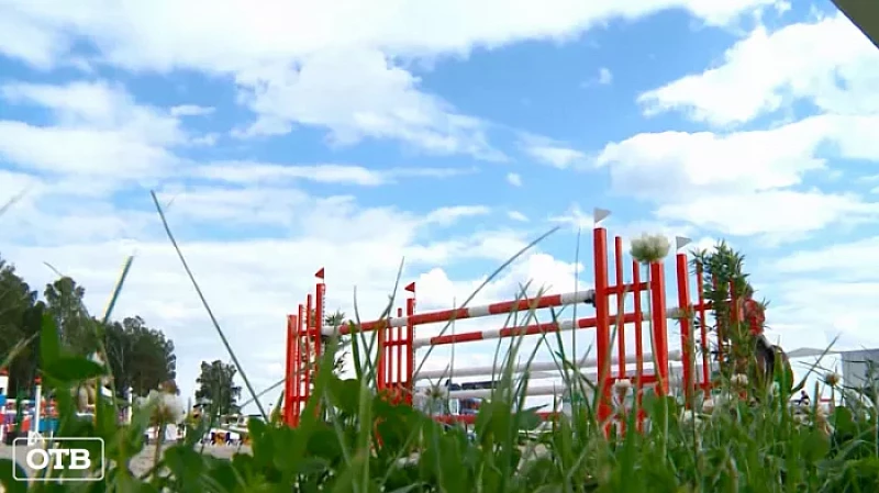 Кубок губернатора по конкуру в этом году пройдет в рамках фестиваля «Летофест»