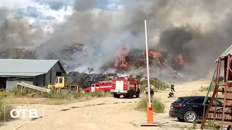 Крупный пожар на мусорном полигоне: кадры с места событий