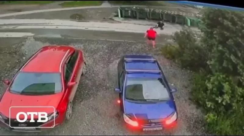 Владелец машины закинул обидчика своей «ласточки» в мусорный бак