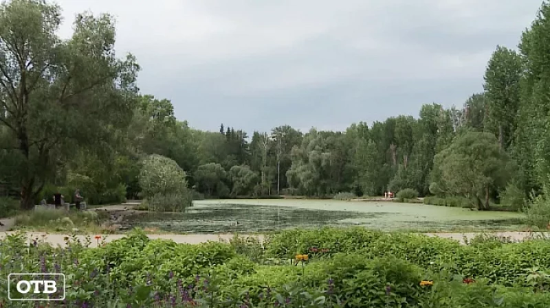 Мэр Екатеринбурга пообещал привести в порядок Дендропарк на Первомайской и Метеогорку