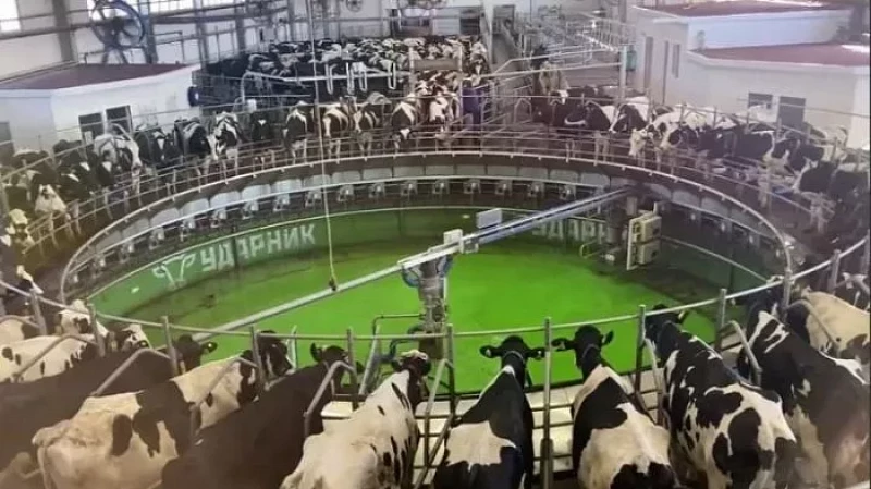 Карусель для «Бурёнок» оценил губернатор Евгений Куйвашев