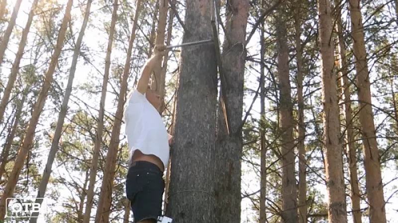 Уралец взялся за топор из-за обилия нелегальной рекламы