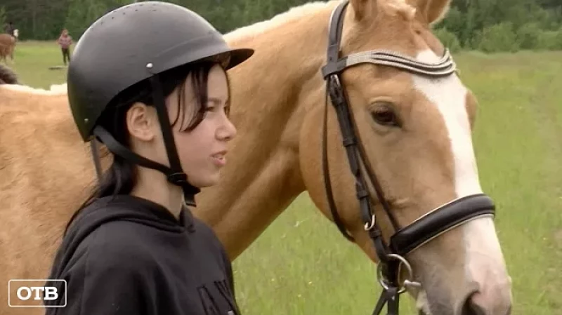 На областной Сабантуй в Кадниково приедет Харли Квин