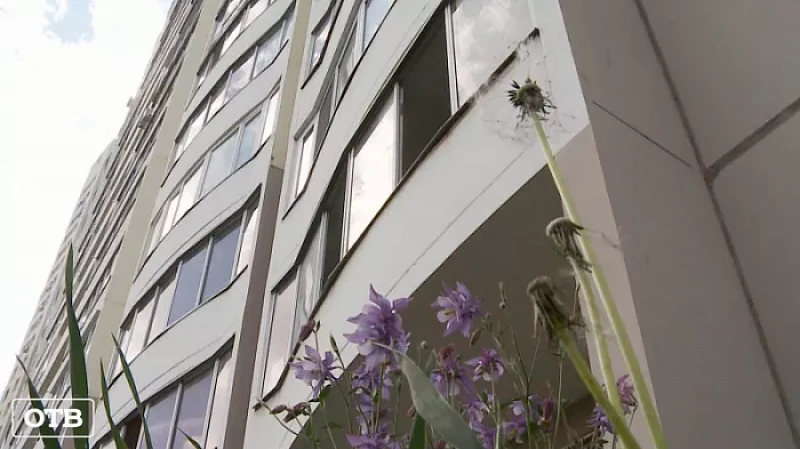 В Екатеринбурге пчелиный рой облюбовал балкон эльмашевской многоэтажки