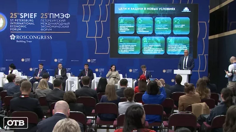 В Екатеринбурге планируют провести Международные летние Университетские игры