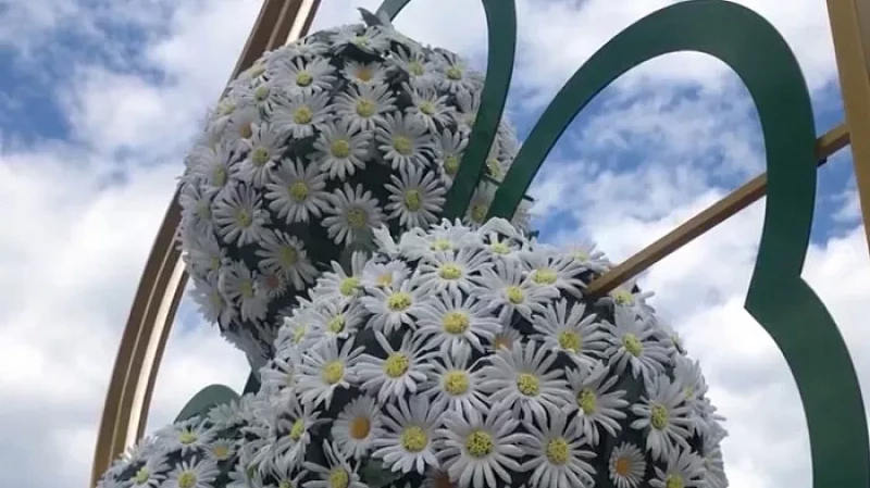 Около Храма на Крови начался летний фестиваль цветов