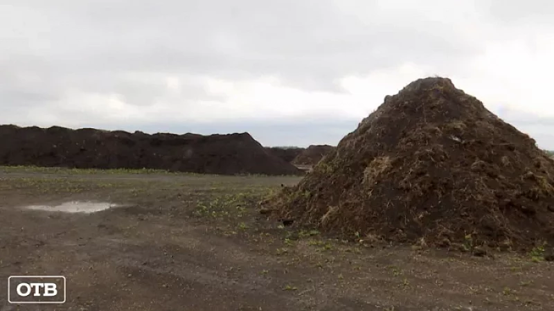 Общественники выясняют, почему из посёлка Сысерть вывозят тонны земли