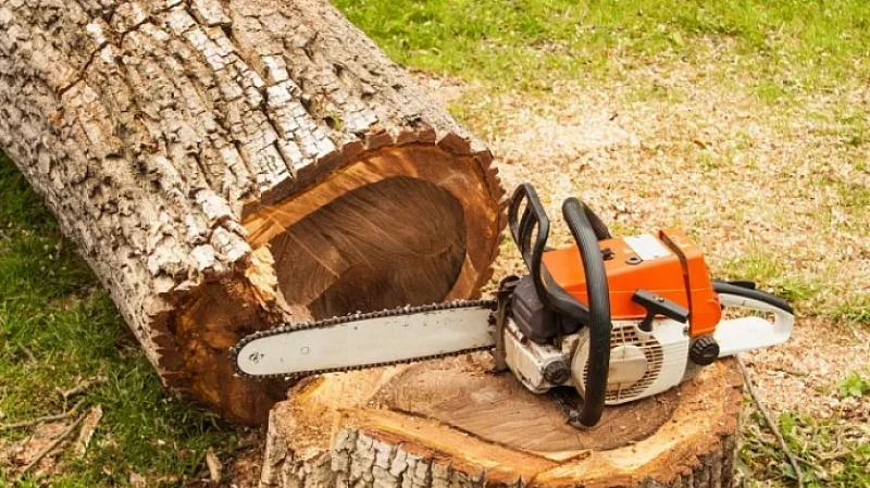 Мэр за сквер: Алексей Орлов спасёт зелёную зону в Юго-Западном районе Екатеринбурга